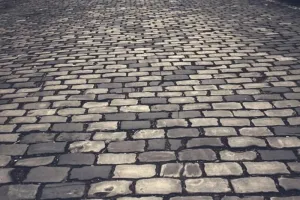 Folia kubełkowa cena za m2 - ile kosztuje i jak wybrać?